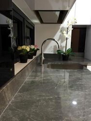 Robinson Suites (D1), Apartment #515086071